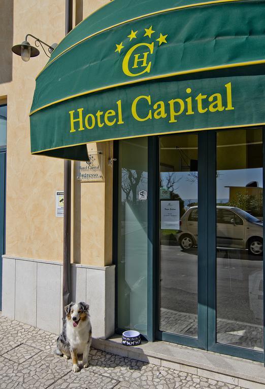 Hotel Capital Cupra Marittima Exteriör bild